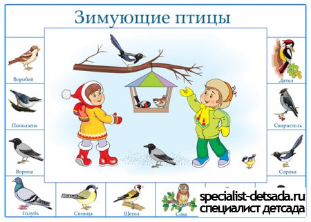 Зимующие птицы. Плакат для дошкольников